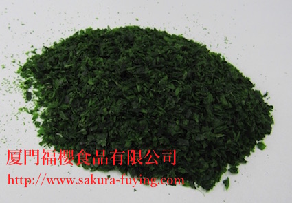 生產(chǎn)銷售廈門緣管滸苔 10kg散裝
